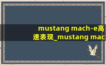 mustang mach-e高速表现_mustang mach-e有什么缺点